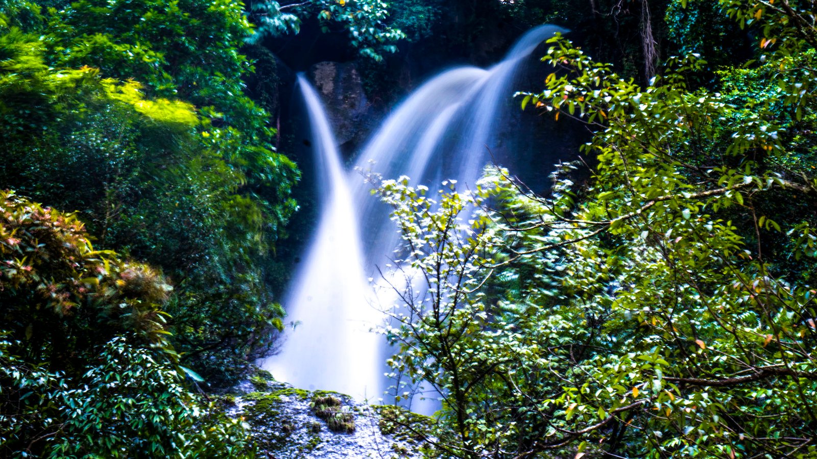 Chisapani-Sundarijal-Trekking
