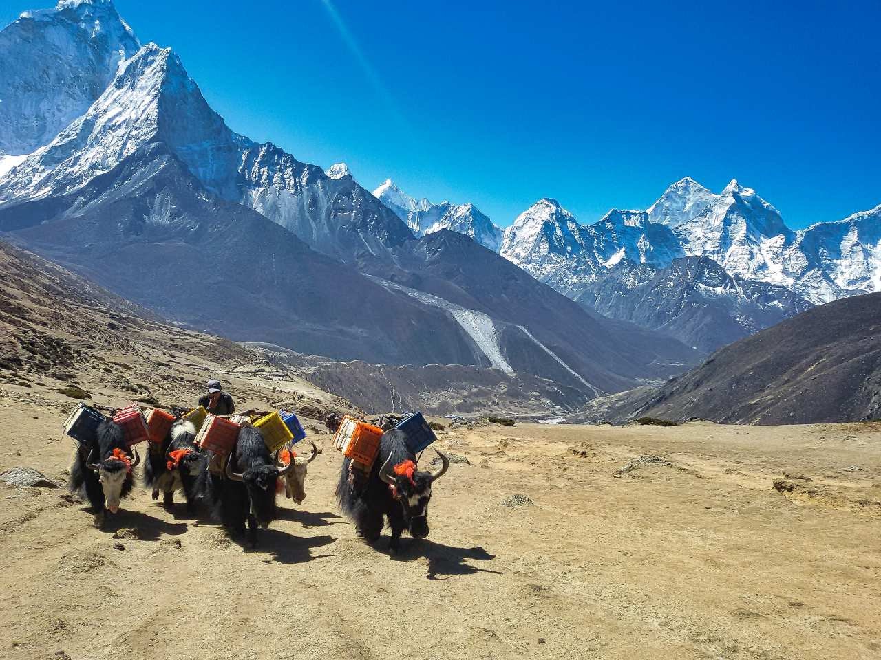 EBC-Nepali