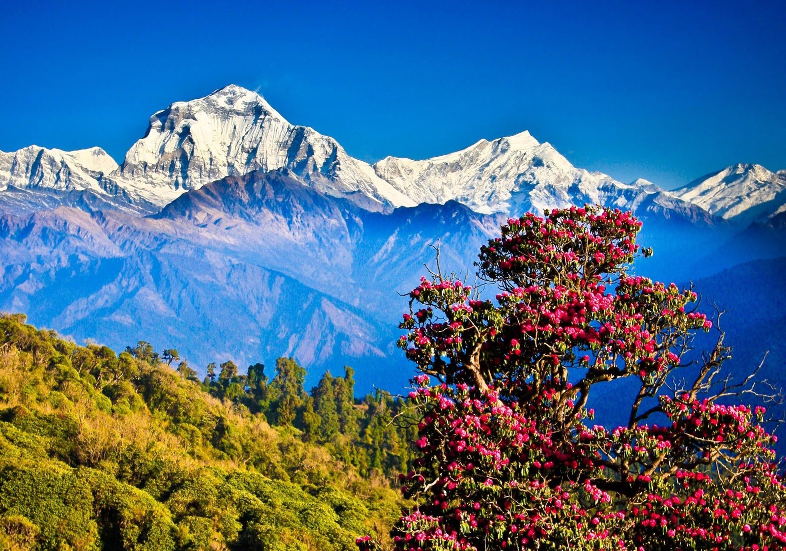 nagarkot1